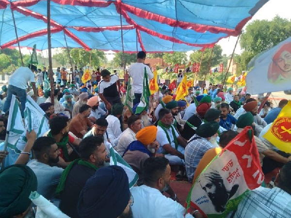 Farmers protest: Bus and train services disrupted as protests take over roads and railway tracks