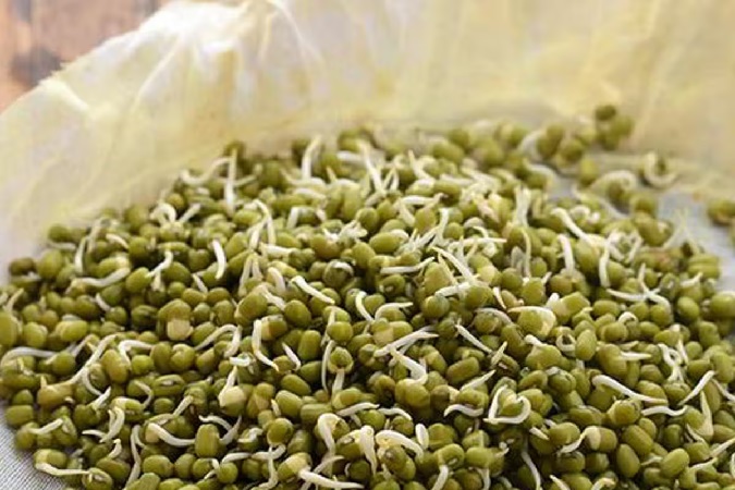 Know about the health benefits of sprouted moong dal