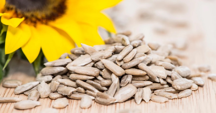 Eight reasons to include sunflower seeds in your daily diet
