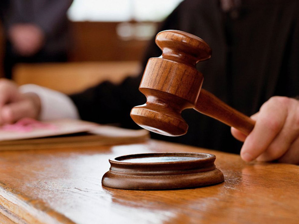 High court stays panchayat elections in punjab, blames state government
