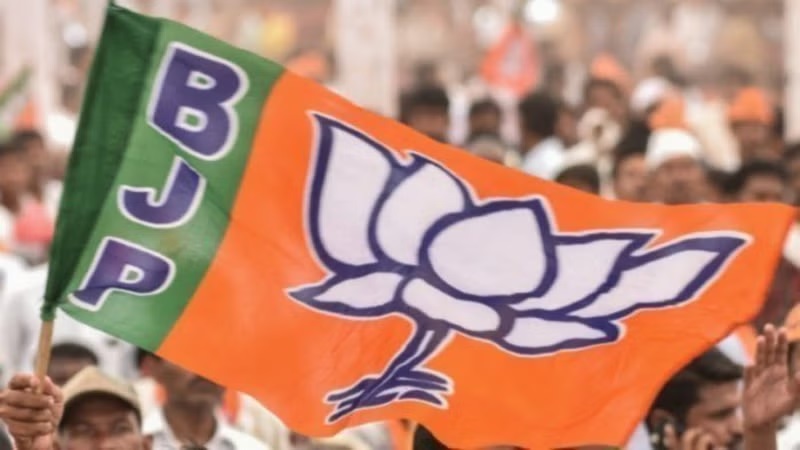 Delhi Elections: Will BJP adopt cash transfer scheme for women empowerment?