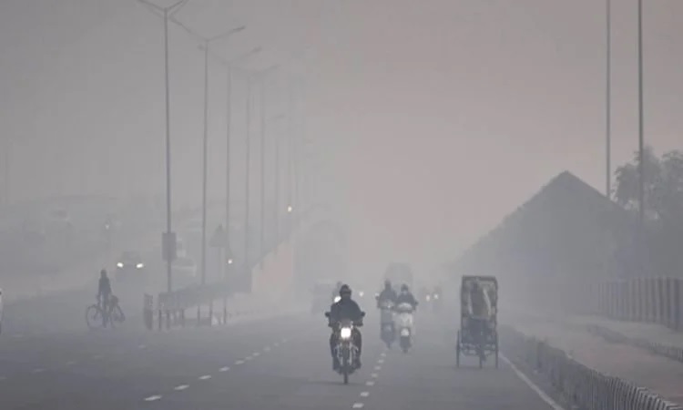 Winter starts with dense fog in sangrur, visibility less than 10 meters