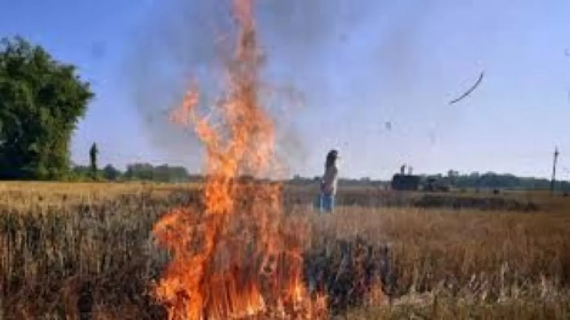 Strict action on stubble burning, notice issued to 1,319 official, action initiated against 79