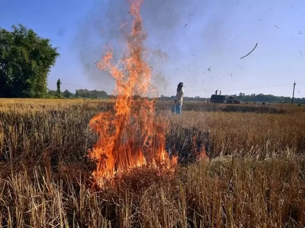 Strict action on stubble burning, Punjab government started action against 9 officials