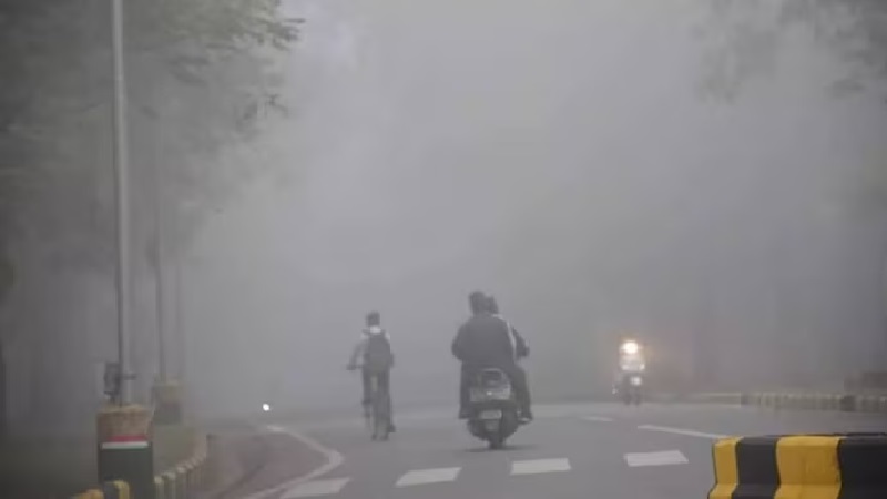 Cold wave intensifies in jalandhar, warning of dense fog in many districts