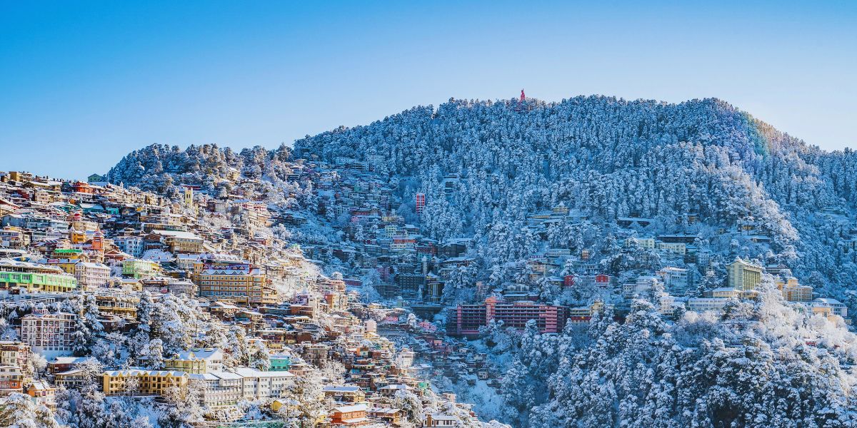 shimla first snowfall winter2024