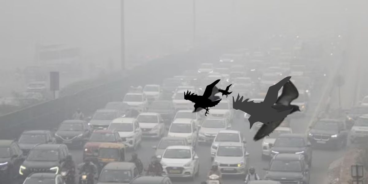 Delhi-NCR schools hybrid mode