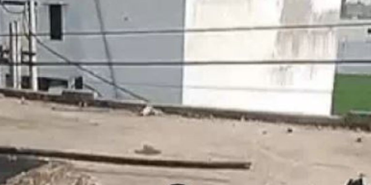 Woman Electrocuted to Death in Jalandhar After Coming in Contact with High-Tension Wires