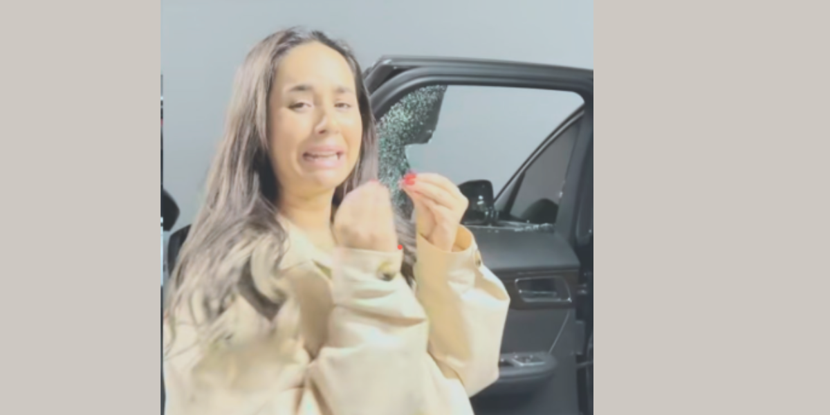 Punjabi Singer Sunanda Sharma Robbed in London, Car Vandalized, Expensive Bags Stolen