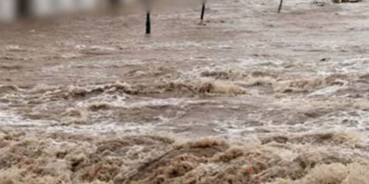 Punjab Flood Alert: Seven Districts Affected as Rain and Dam Water Release Raise Threat, CM and Ministers Donate One Month Salary