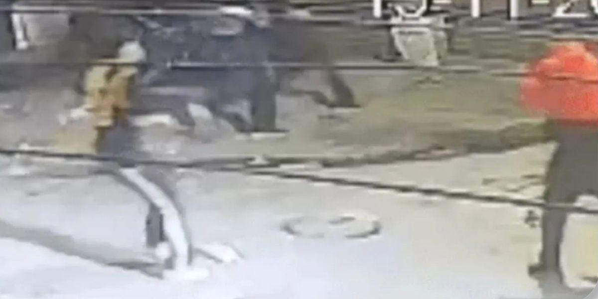 Jalandhar: Man Out on Bail Attacks Sister-in-Law's House With Accomplices in Mithu Basti