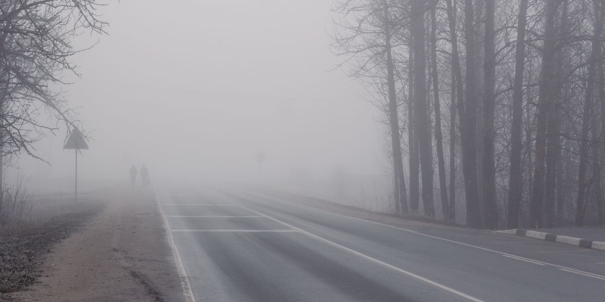 Severe Cold and Fog Hits Jalandhar on December 29, Causes Trouble for Commuters
